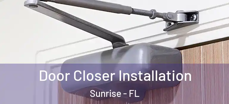  Door Closer Installation Sunrise - FL