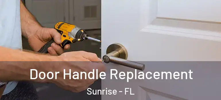  Door Handle Replacement Sunrise - FL