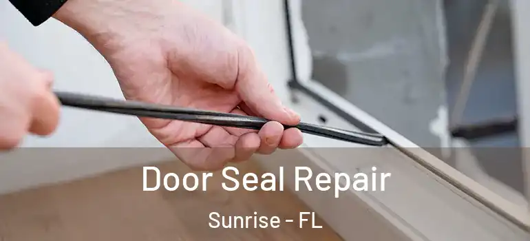  Door Seal Repair Sunrise - FL