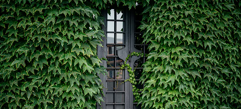 Garden Gate Repair in Sunrise, FL