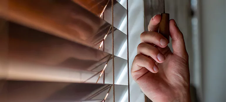 Double Roller Blinds in Sunrise, FL