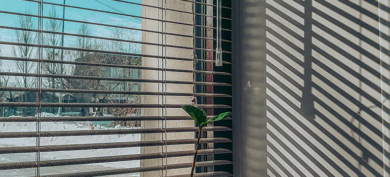 Commercial Window Blinds in Sunrise, FL