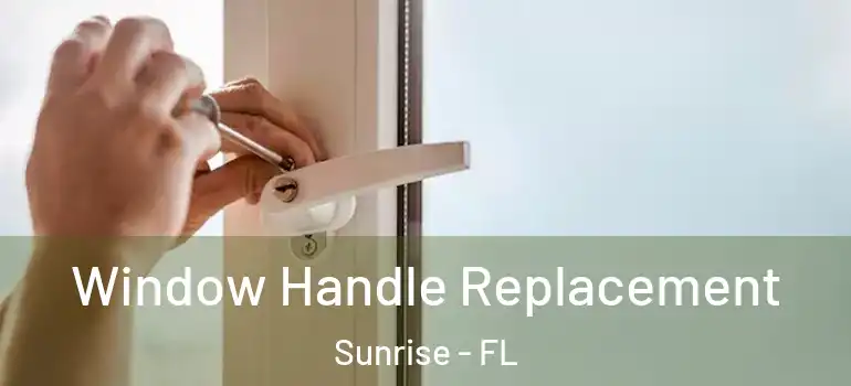  Window Handle Replacement Sunrise - FL