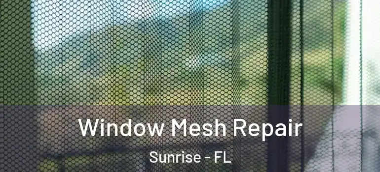  Window Mesh Repair Sunrise - FL