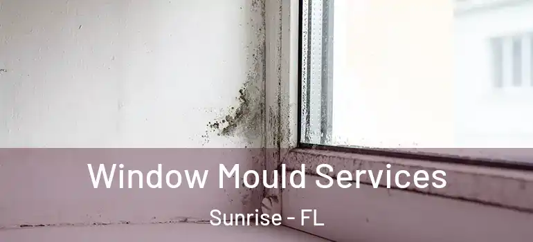  Window Mould Services Sunrise - FL